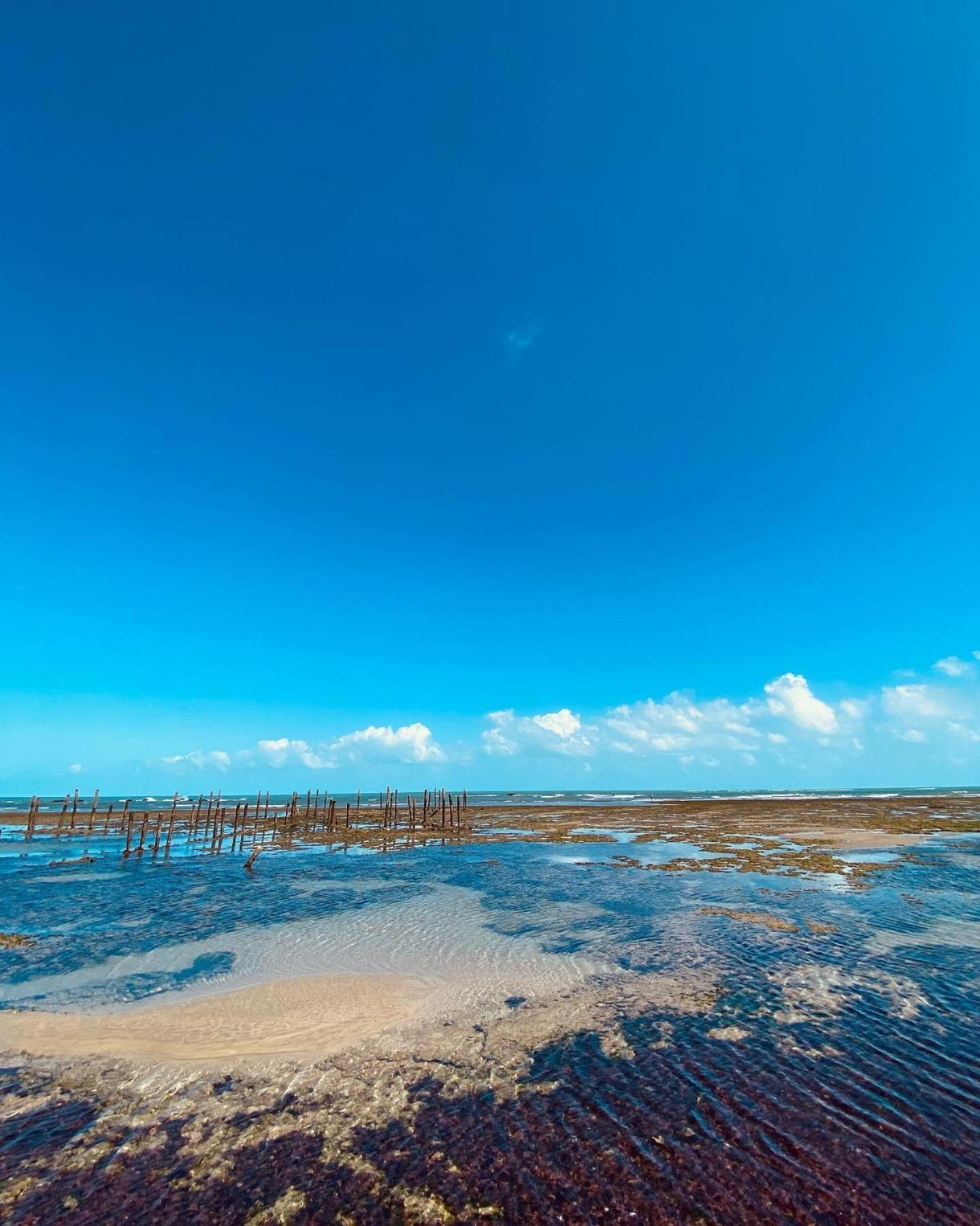 Janelas Do Mar Flecheiras